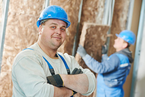Best Insulation Maintenance and Repair in Bellville, OH