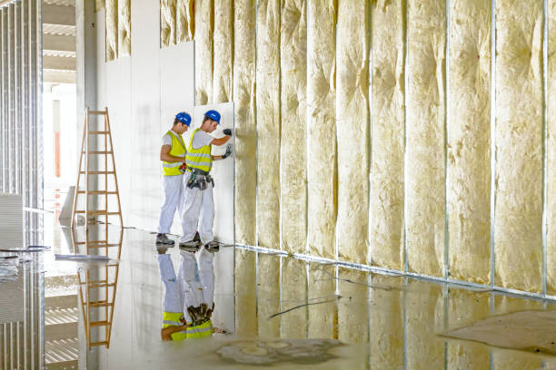 Professional Insulation Contractor in Bellville, OH
